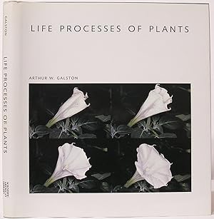 Life Processes of Plants