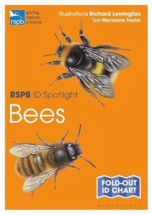 Seller image for Rspb Id Spotlight - Bees (Paperback) for sale by Grand Eagle Retail