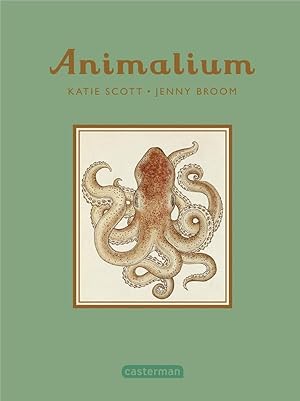 Animalium ; mini-livre cadeau
