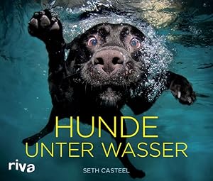 Imagen del vendedor de Hunde unter Wasser a la venta por Gerald Wollermann