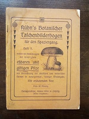 Kühn's Botanischer Taschenbilderbogen für den Spaziergang Heft 5. Enthält 66 Abbildungen der wich...