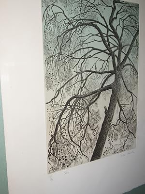 TREE >>Limited numbered aquatint etching<<