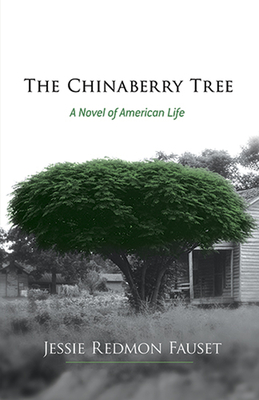 Bild des Verkufers fr The Chinaberry Tree: A Novel of American Life (Paperback or Softback) zum Verkauf von BargainBookStores