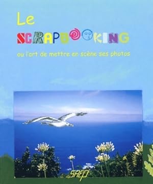 Le scrapbooking ou l'art de mettre en scène ses photos - Cécile Holveck