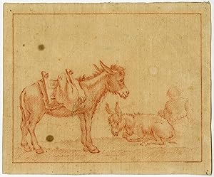 Antique Drawing-ANIMAL-DONKEY-STANDING-LYING-Anonymous-ca. 1780