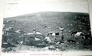 Bild des Verkufers fr Carte Postale Ancienne - 63- PIERRE-SUR-HAUTE-Un Paturage zum Verkauf von JOIE DE LIRE