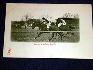 Bild des Verkufers fr Carte Postale Ancienne - 2441- Courses de MAISONS-LAFFITTE. - zum Verkauf von JOIE DE LIRE