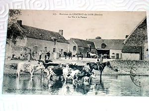 Image du vendeur pour Carte Postale Ancienne - 337-Environs de CHATEAU-DU-LOIR (Sarthe). La vie  la ferme. mis en vente par JOIE DE LIRE