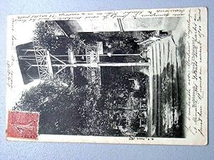 Bild des Verkufers fr Carte Postale Ancienne - ROBINSON. Le grand Chtaignier. zum Verkauf von JOIE DE LIRE