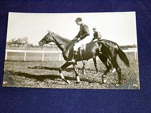 Bild des Verkufers fr Carte photo ancienne anonyme reprsentant un cheval de course avec son jockey. zum Verkauf von JOIE DE LIRE