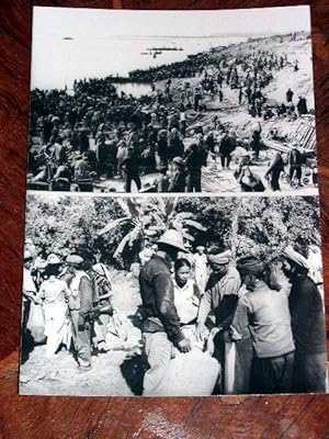 Très belle photographie de presse : Province de Kampuchea : Montage de 2 photos. 15/02/1979.