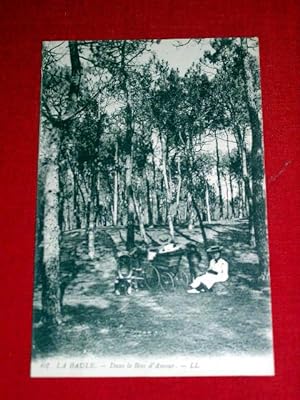Image du vendeur pour Carte Postale Ancienne - 62 - LA BAULE - Dans le Bois d'Amour. mis en vente par JOIE DE LIRE