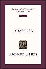 Seller image for Joshua : An Introduction and Survey for sale by GreatBookPrices