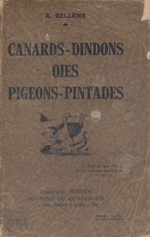 Canards - Dindons - Oies - Pigeons - Pintades. Vers 1940.