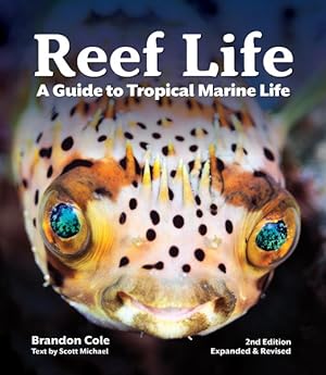 Seller image for Reef Life : A Guide to Tropical Marine Life for sale by GreatBookPricesUK