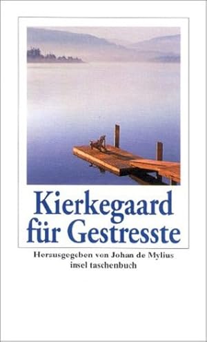 Bild des Verkufers fr Kierkegaard fr Gestrete zum Verkauf von antiquariat rotschildt, Per Jendryschik