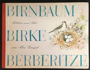 Birnbaum Birke Berberitze: Eine Geschichte aus den Bündner Bergen.