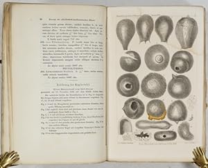 Bild des Verkufers fr ber einen Niederfall von schwarzem, polirten und hohlen Vogelschrott-Krner hnlichen atmosphrischen Eisenstaub im hohen Sd-Ocean (pp.1-10, 1 Tafel mit 20 Fig.). zum Verkauf von Antiq. F.-D. Shn - Medicusbooks.Com