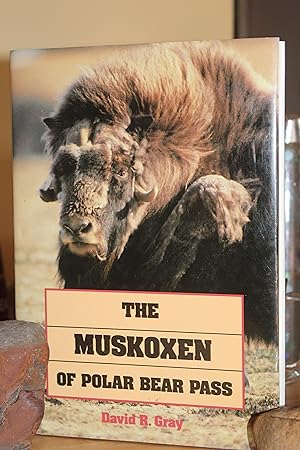 The Muskoxen of Polar Bear Pass