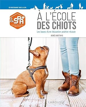 à l'école des chiots