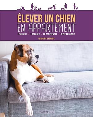 élever un chien en appartement