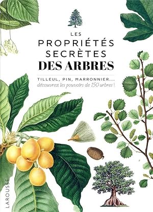 les propriétés secrètes des arbres