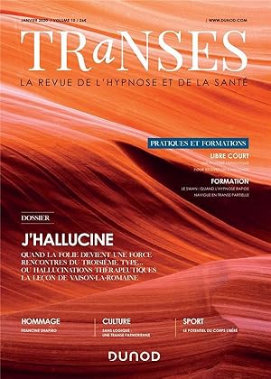 transes n.10 : janvier 2020 ; j'hallucine