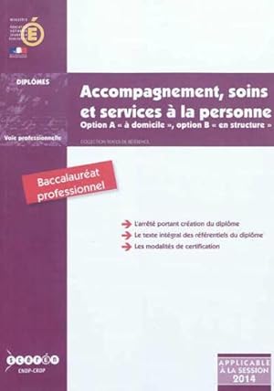 accompagnement, soins et services a la personne - baccalaureat professionnel, option a, a domicile