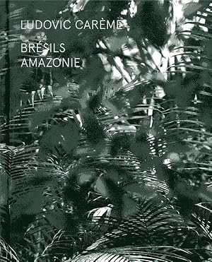 Bild des Verkufers fr Brsils ; Amazonie zum Verkauf von Chapitre.com : livres et presse ancienne