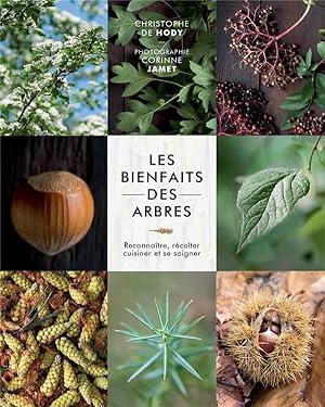 les bienfaits des arbres ; reconnaître, récolter, cuisiner et se soigner