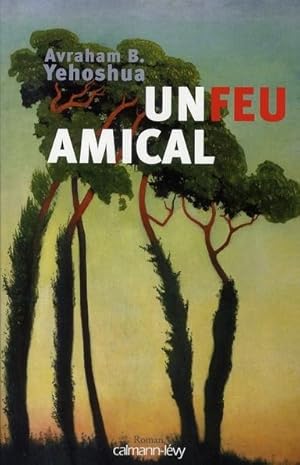 Un feu amical