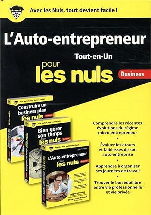 l'auto-entrepreneur tout-en-un pour les nuls ; business