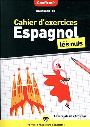 cahier d'exercices espagnol confirmé pour les nuls