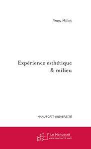 experience esthetique & milieu