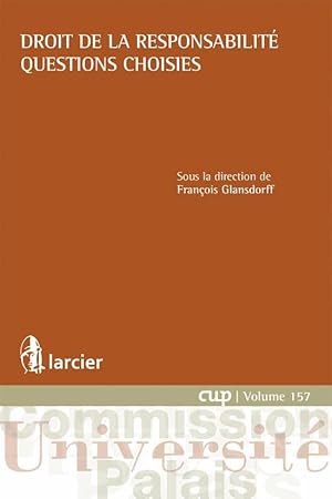 droit de la responsabilité ; questions choisies