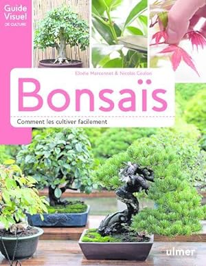 bonsaï ; comment les cultiver facilement