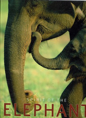 Spirit Of The Elephant: Majestic Giant Of The Animal Kingdom