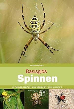 Seller image for Basisgids Spinnen for sale by WeBuyBooks