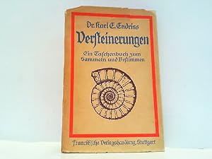 Seller image for Versteinerungen. Ein Taschenbuch zum Sammeln und Bestimmen von Versteinerungen und Fossilien und eine Einfhrung die Versteinnerungslehre. for sale by Antiquariat Ehbrecht - Preis inkl. MwSt.