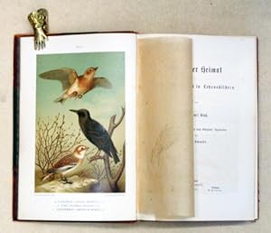 Vögel der Heimat. Unsre Vogelwelt in Lebensbildern. Mit 40 Farbendrucktafeln nach Original-Aquare...