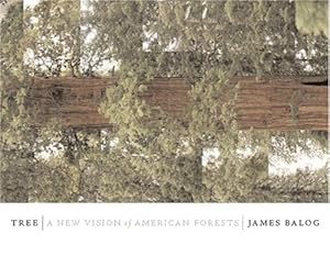 Image du vendeur pour Tree: A New Vision Of The American Forest mis en vente par primatexxt Buchversand