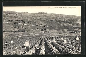 Ansichtskarte Ay-Champagne, Les Côteaux, Bauern bei der Weinlese