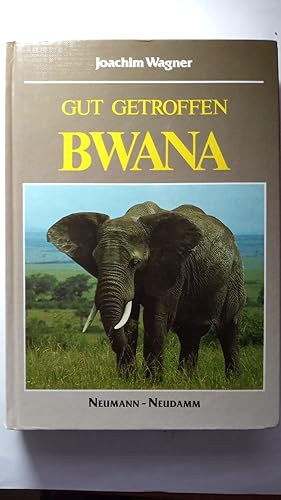 Gut getroffen - Bwana.