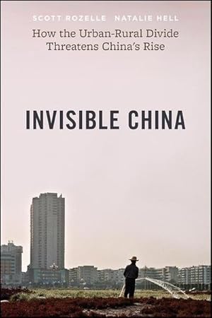 Bild des Verkufers fr Invisible China : How the Urban-Rural Divide Threatens China's Rise zum Verkauf von AHA-BUCH GmbH