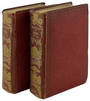 Cruikshank at Home: A New Family Album of Endless Entertainment [Four Volumes in Two]