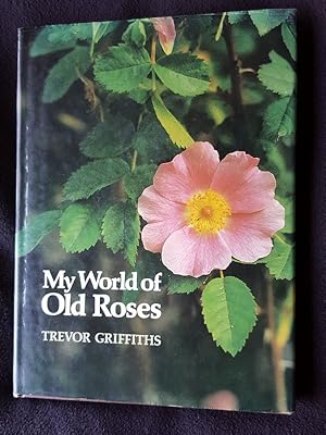 My world of old roses
