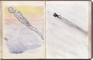 Immagine del venditore per Markus Raetz. 'Die B�cher' 1972 - 1976. 2 Volumes. venduto da studio montespecchio