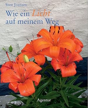 Seller image for Wie ein Licht auf meinem Weg for sale by Gabis Bcherlager