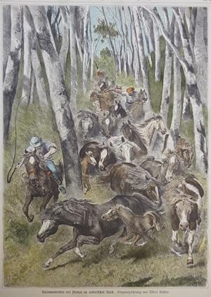 kol. Holzstich - Zusammentreiben von Pferden im australischen Busch ( Pferde )