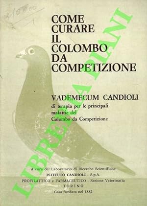 Come curare il colombo da competizione.